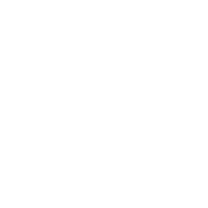 MadMax 500x500_white